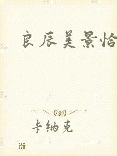 良辰美景恰似你