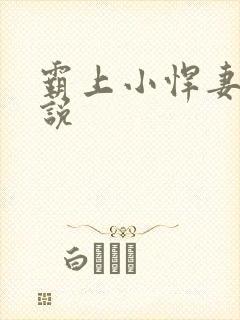 霸上小悍妻 小说