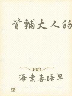 首辅大人的套路