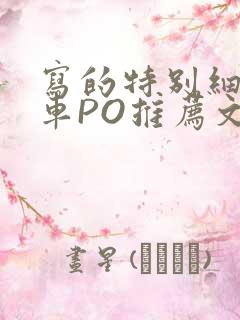 写的特别细的开车PO推荐文