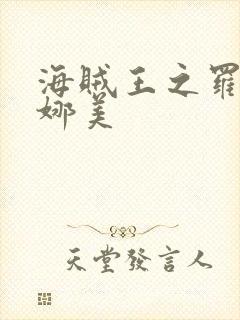 海贼王之罗宾h娜美