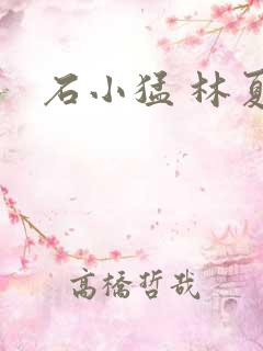 石小猛 林夏