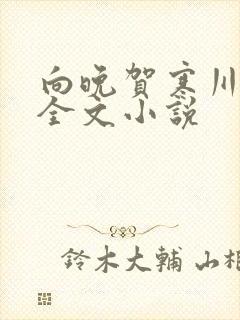 向晚贺寒川免费全文小说