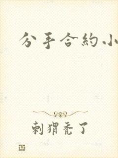 分手合约小说
