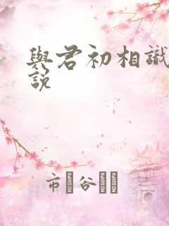 与君初相识 小说