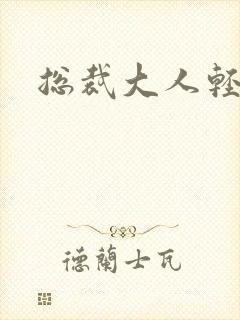 总裁大人轻一点