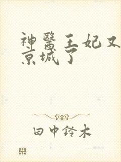 神医王妃又轰动京城了