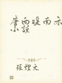 唐向暖南亦琛的小说