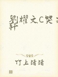 刘耀文C哭宋亚轩