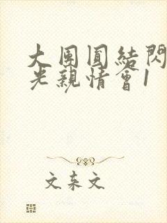 大团圆结闪闪发光亲情会1