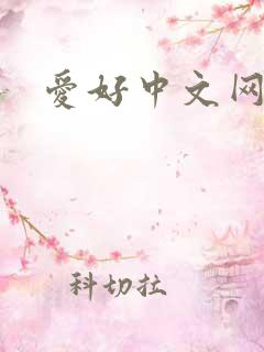 爱好中文网