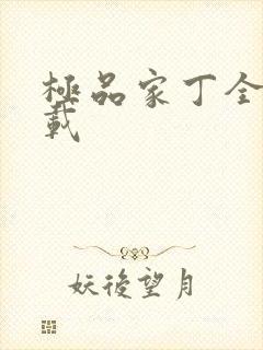 极品家丁全集下载