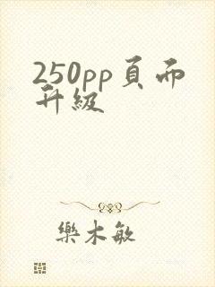 250pp页面升级