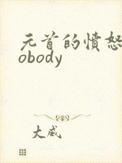元首的愤怒之nobody
