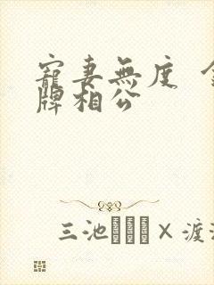 宠妻无度  金牌相公