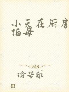 小天在厨房插杨伯母