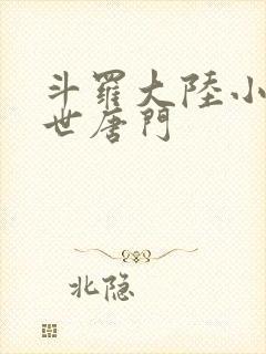 斗罗大陆小说绝世唐门