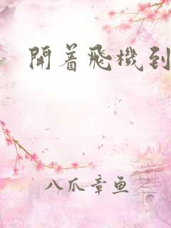 开着飞机到异界