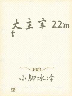 大主宰 22mt