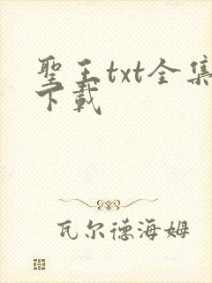 圣王txt全集下载