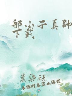 那小子真帅小说下载