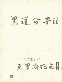 黑道公子ii