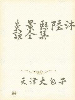 炎景熙陆沐擎小说全集