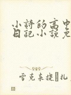 小诗的高中成长日记小说免费阅读