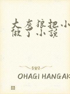 大灰狼把小红帽做了小说