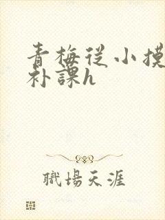 青梅从小摸到大补课h