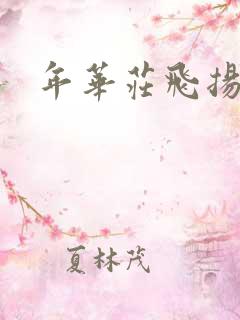 年华庄飞扬