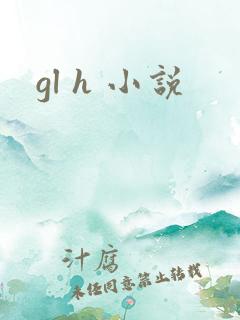 gl h 小说