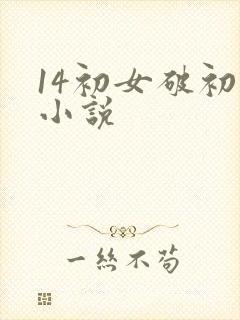 14初女破初的小说