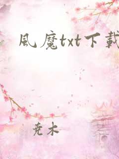 风魔txt下载
