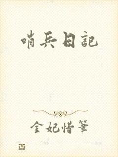 哨兵日记