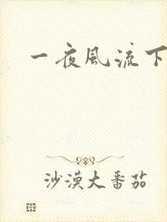 一夜风流下载