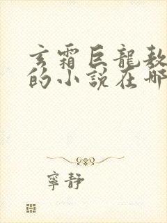 玄霜巨龙敖无极的小说在哪里看