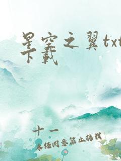 星空之翼txt下载