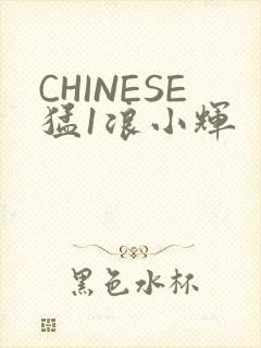 CHINESE猛1浪小辉