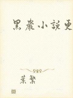 黑岩小说更新吧