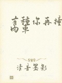 有种你再撞一下肉车