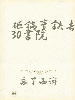 砸锅卖铁去上学30书院