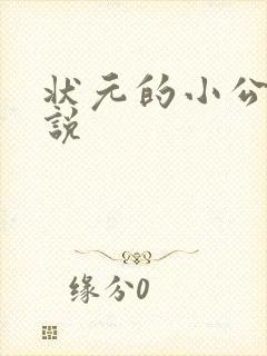 状元的小公主小说