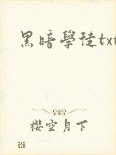 黑暗学徒txt