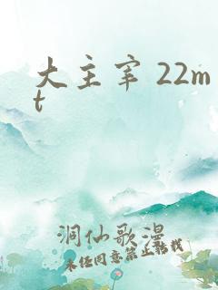 大主宰 22mt