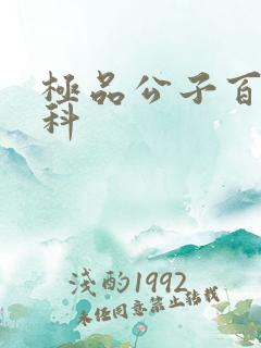 极品公子百度百科