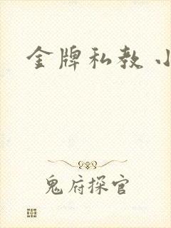 金牌私教 小说