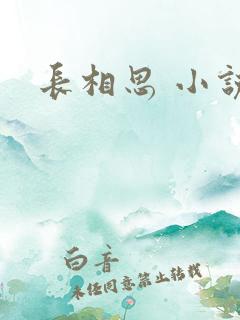 长相思 小说