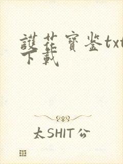 护花宝鉴txt下载