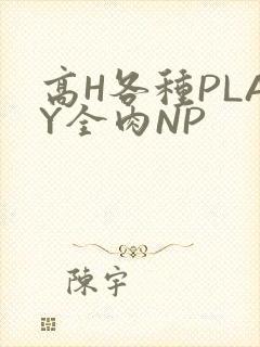 高H各种PLAY全肉NP